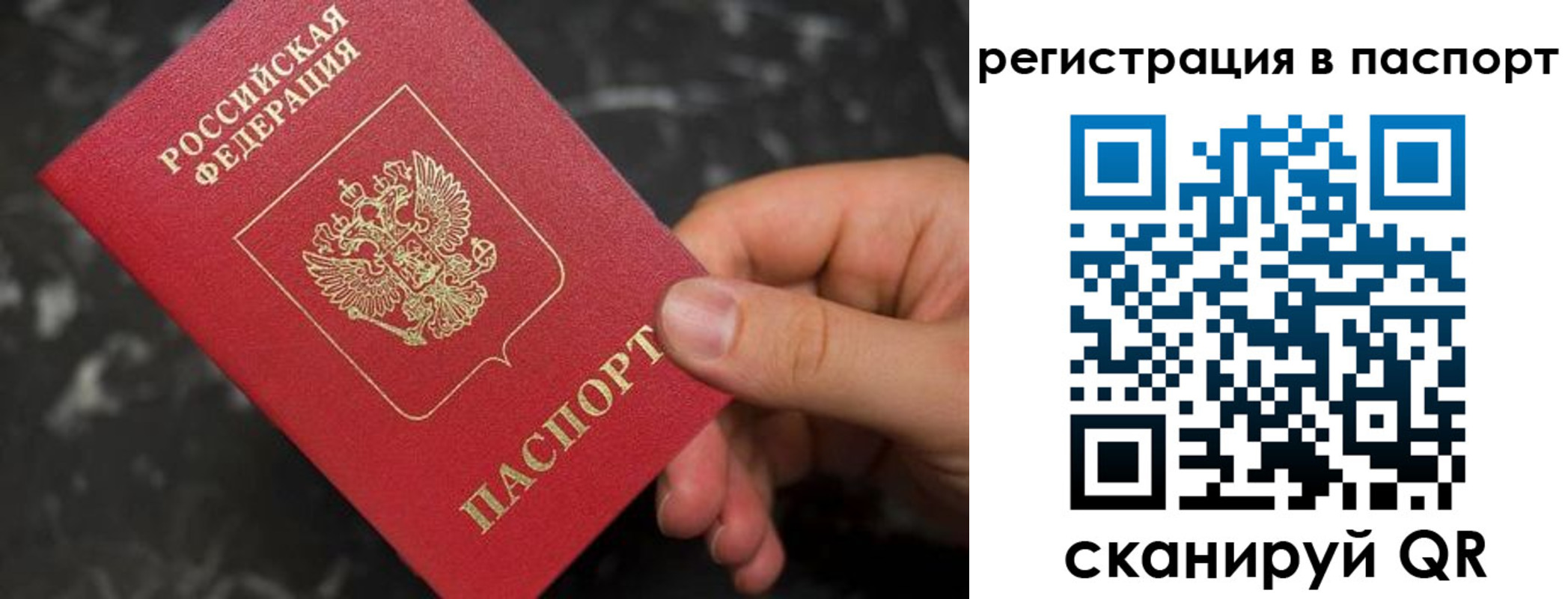 прописка для работы в Светлогорске
