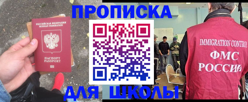 где прописаться в Светлогорске